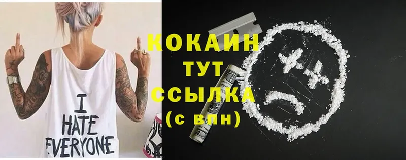 как найти   Мурино  Cocaine Колумбийский 